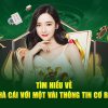 Vi68 Cược đá gà trực tiếp tại Thomo