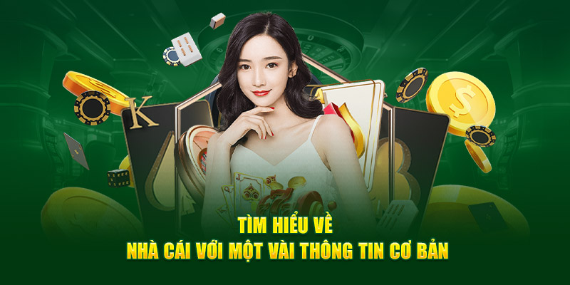 Vi68 Cược đá gà trực tiếp tại Thomo